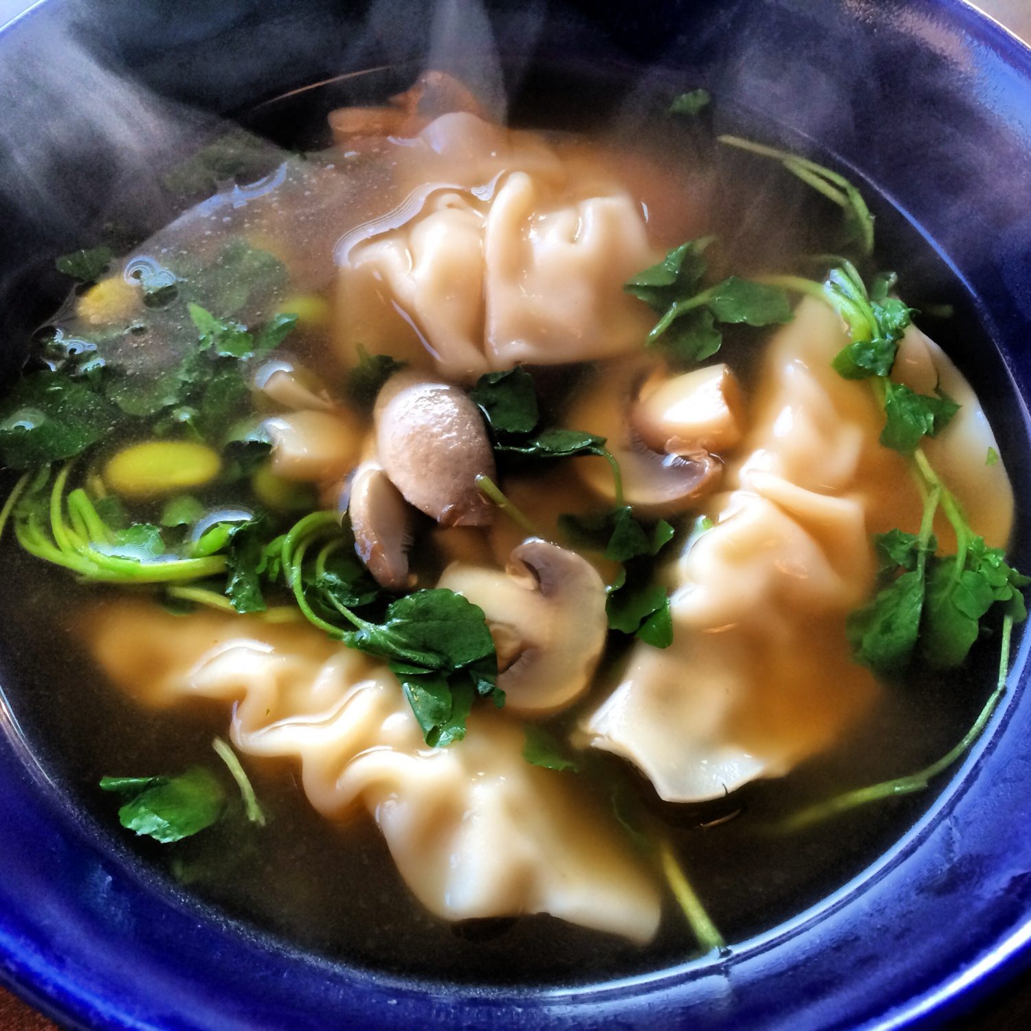 Quick and healthy vegetable dumpling soup nutrition awareness