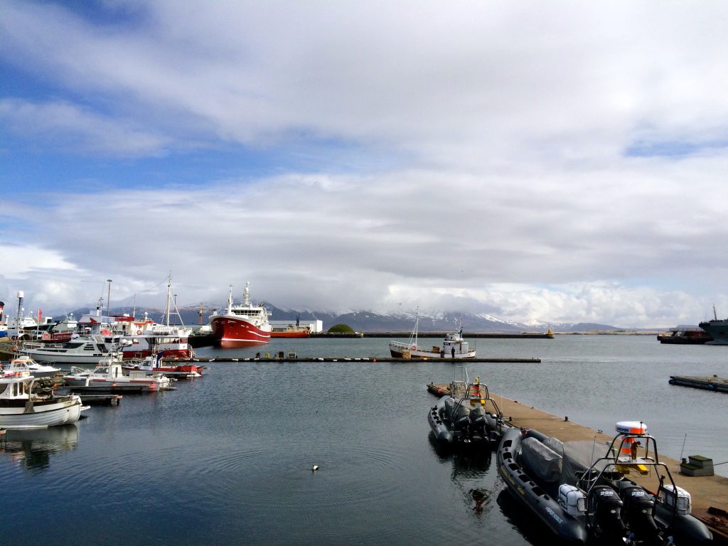 reykjavik harbor