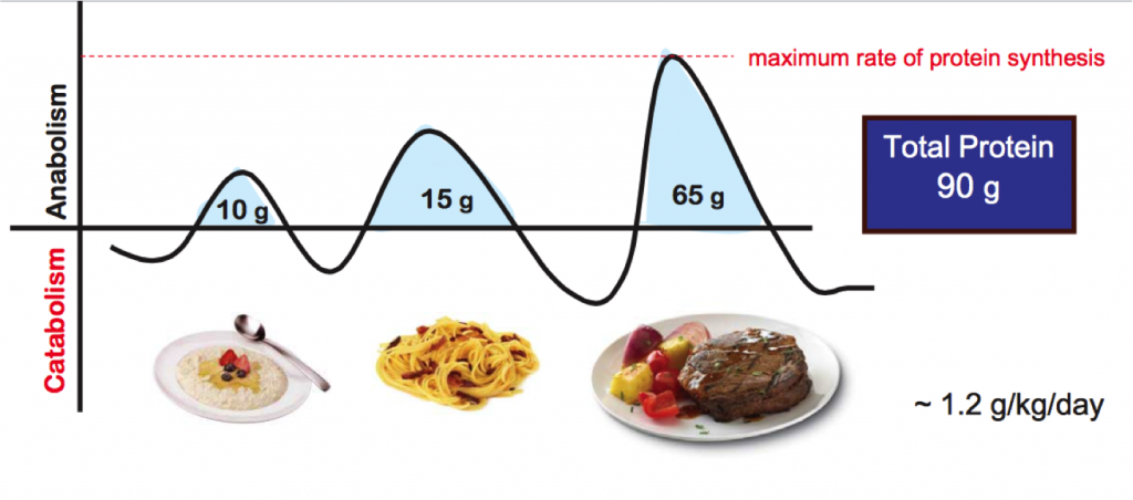 protein1