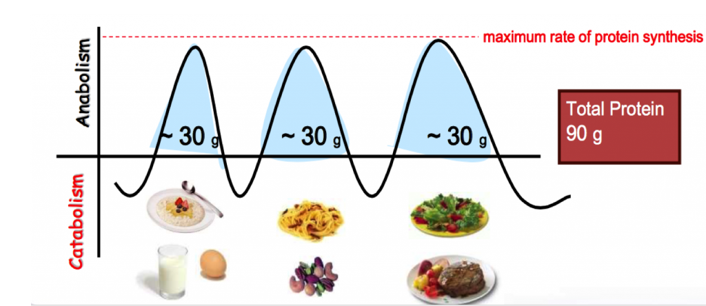 protein2