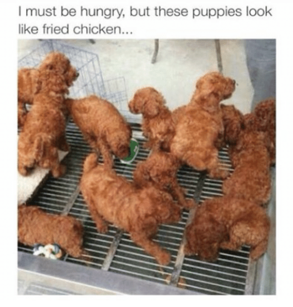 puppies fried chicken